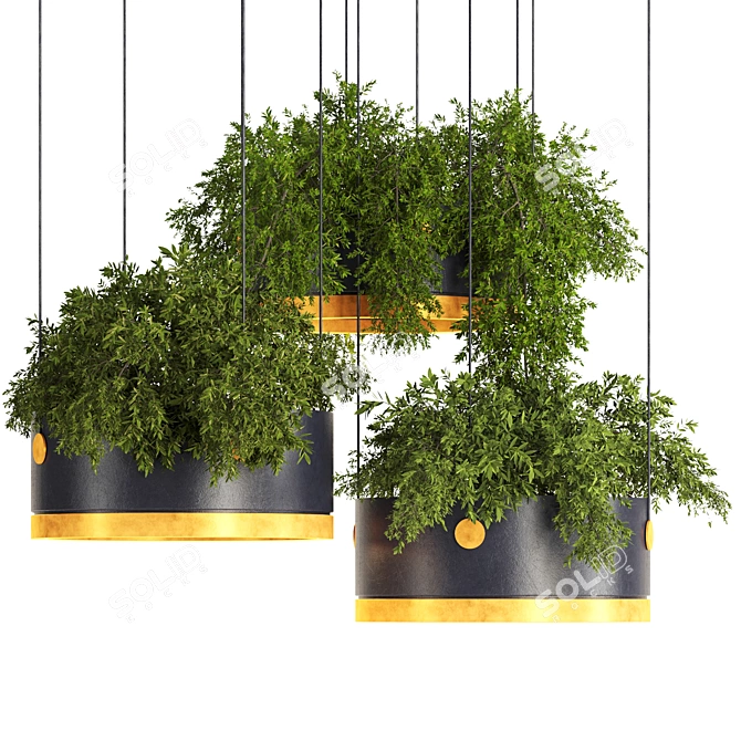 Premium Hanging Plants 3D Model 3D model image 2