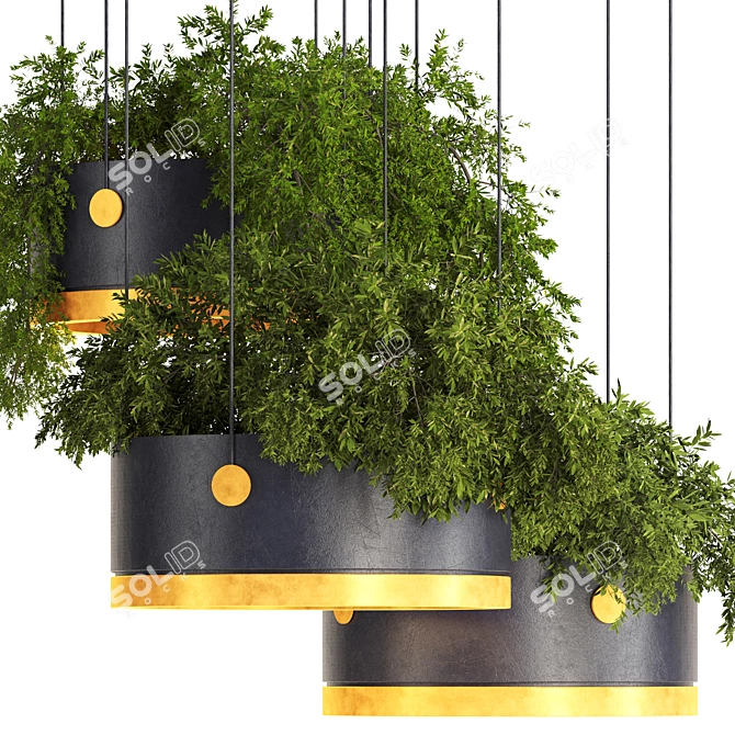 Premium Hanging Plants 3D Model 3D model image 4