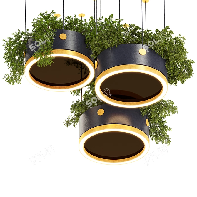 Premium Hanging Plants 3D Model 3D model image 6