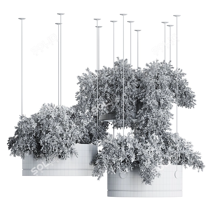 Premium Hanging Plants 3D Model 3D model image 7