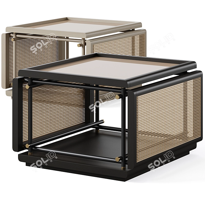 Modern Kea Coffee Table 600x600 3D model image 1