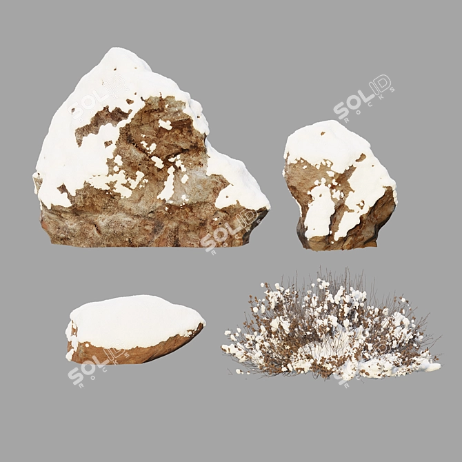 Arctic Rocks & Snow Plants 3D model image 1