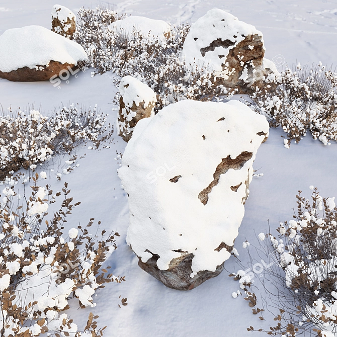 Arctic Rocks & Snow Plants 3D model image 2