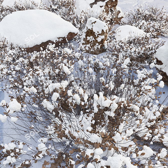 Arctic Rocks & Snow Plants 3D model image 4