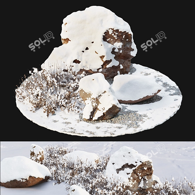 Arctic Rocks & Snow Plants 3D model image 6