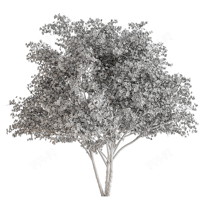 Cherry Plum Tree Set 290 3D model image 3