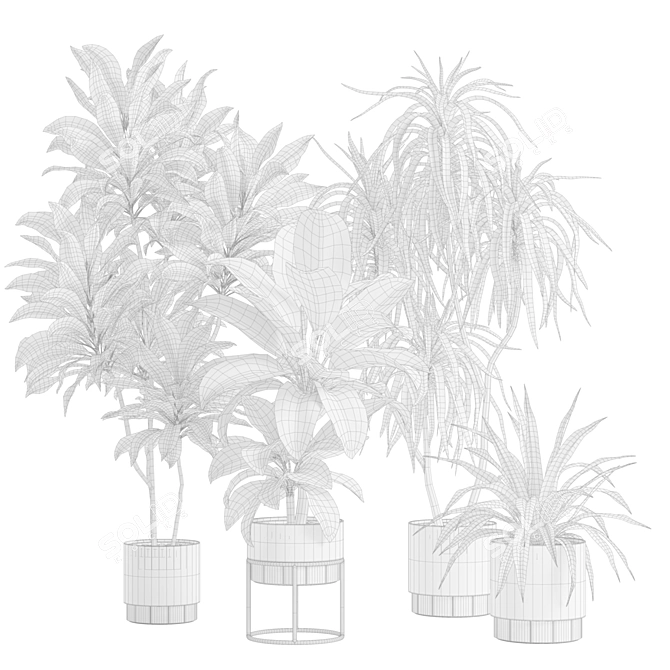 Indoor Plants Pack 62: 3D Models 3D model image 3