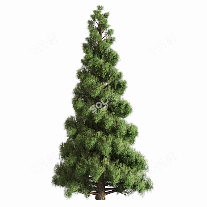 Pine Tree Set for 3D 3D model image 4