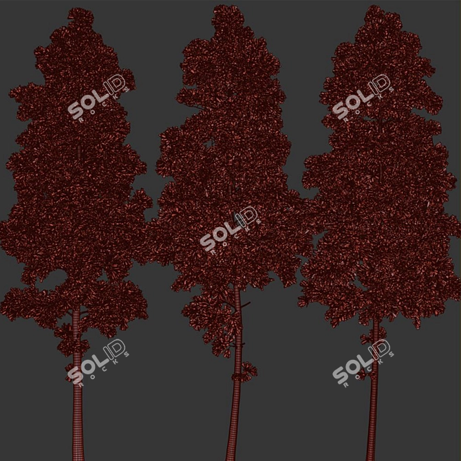 Pine Tree Set 3D Model 3D model image 3