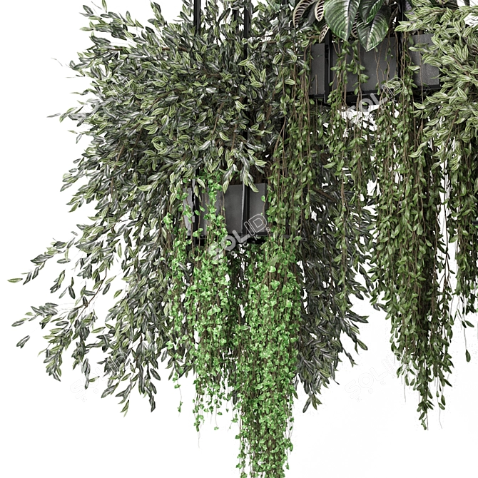 Metal Box Hanging Plants Set 3D model image 3