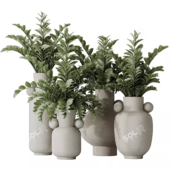 Premium ZZ Plant Houseplant 3D 3D model image 1