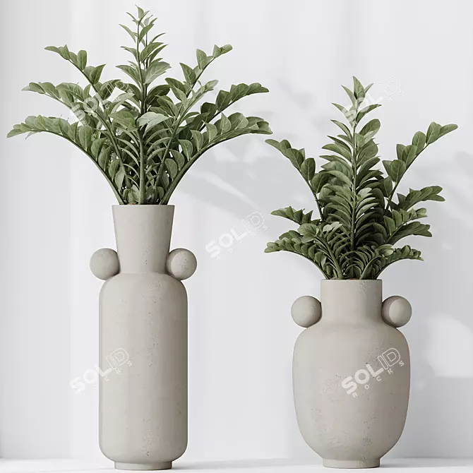 Premium ZZ Plant Houseplant 3D 3D model image 2