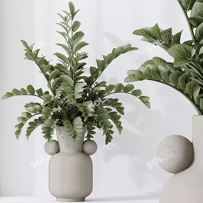 Premium ZZ Plant Houseplant 3D 3D model image 3