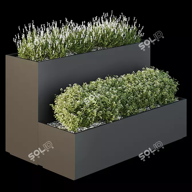 Garden Box 3D Models Collection 3D model image 1