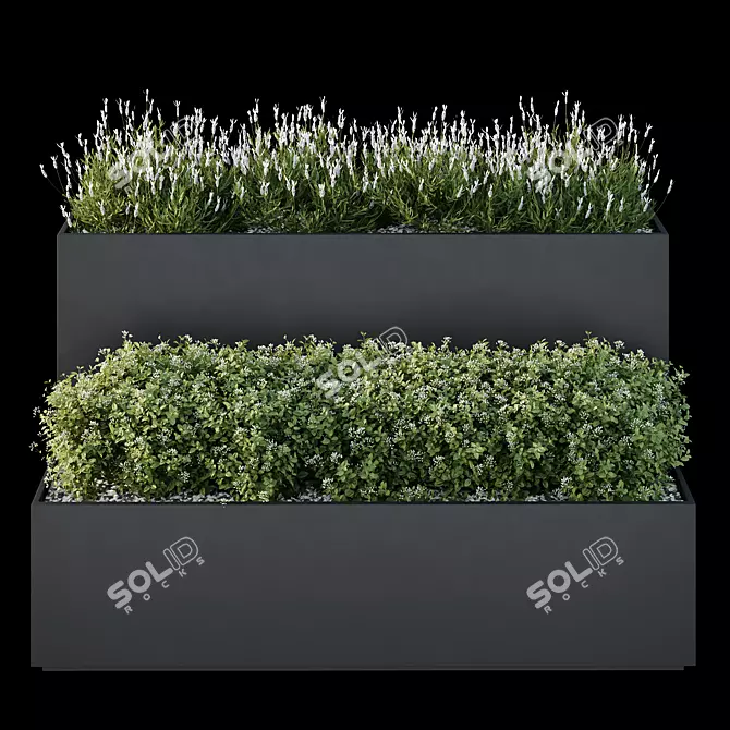 Garden Box 3D Models Collection 3D model image 2