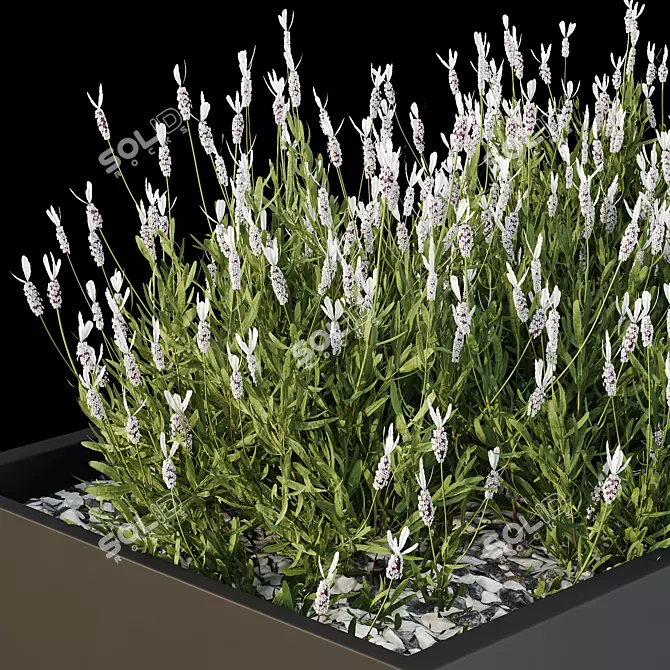 Garden Box 3D Models Collection 3D model image 4