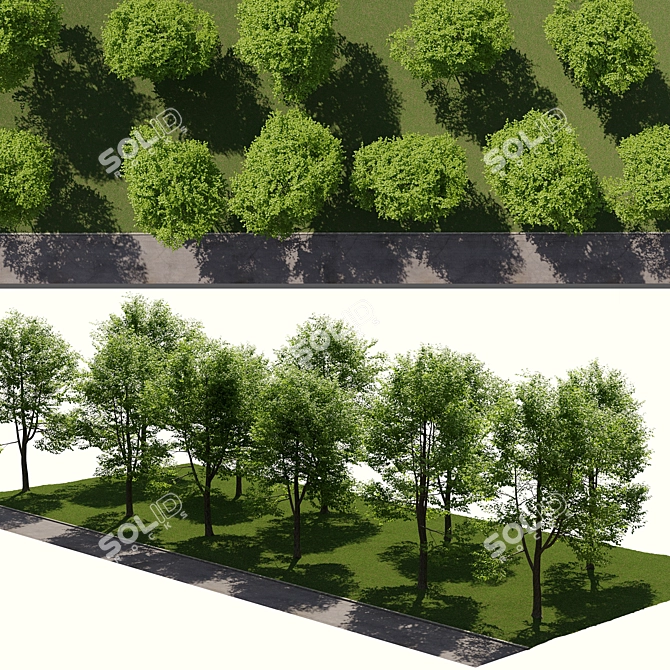 Urban Landscape Toolkit: Asphalt & Trees 3D model image 1