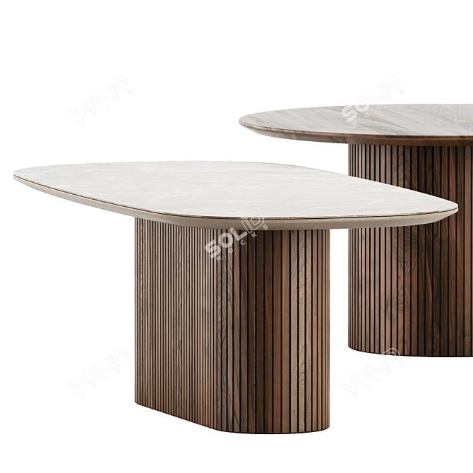 Stylish Santiago Coffee Tables 3D model image 4