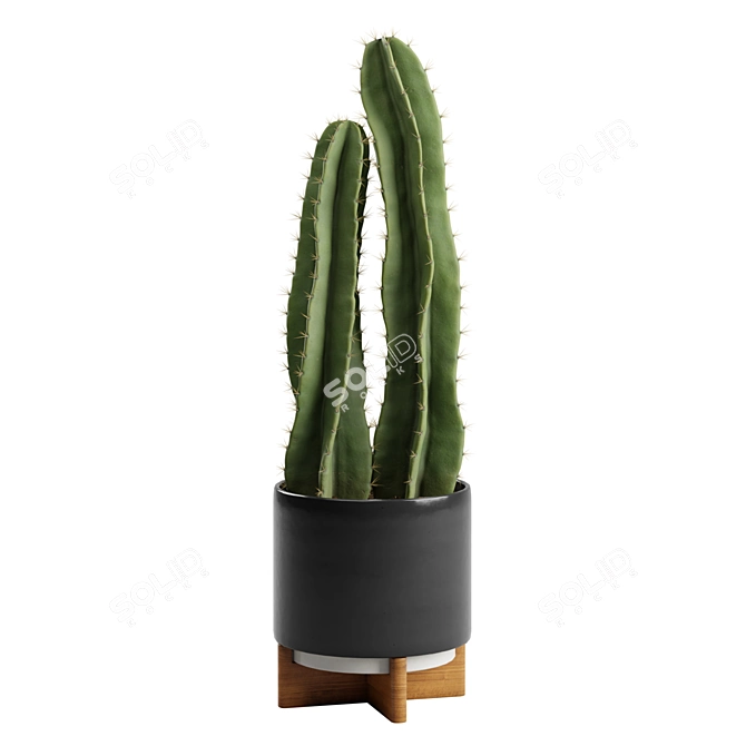 Desert Glow Cereus Cactus Pot 3D model image 2