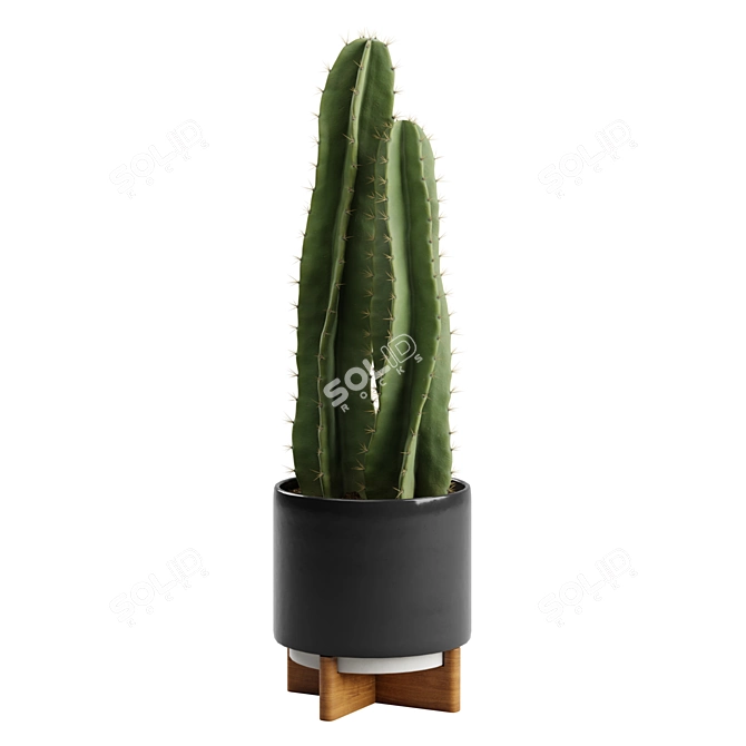 Desert Glow Cereus Cactus Pot 3D model image 4