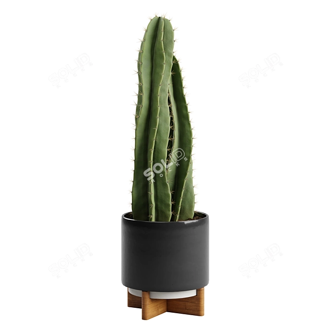 Desert Glow Cereus Cactus Pot 3D model image 6