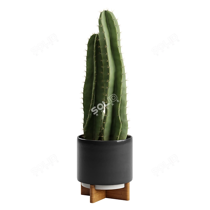 Desert Glow Cereus Cactus Pot 3D model image 7