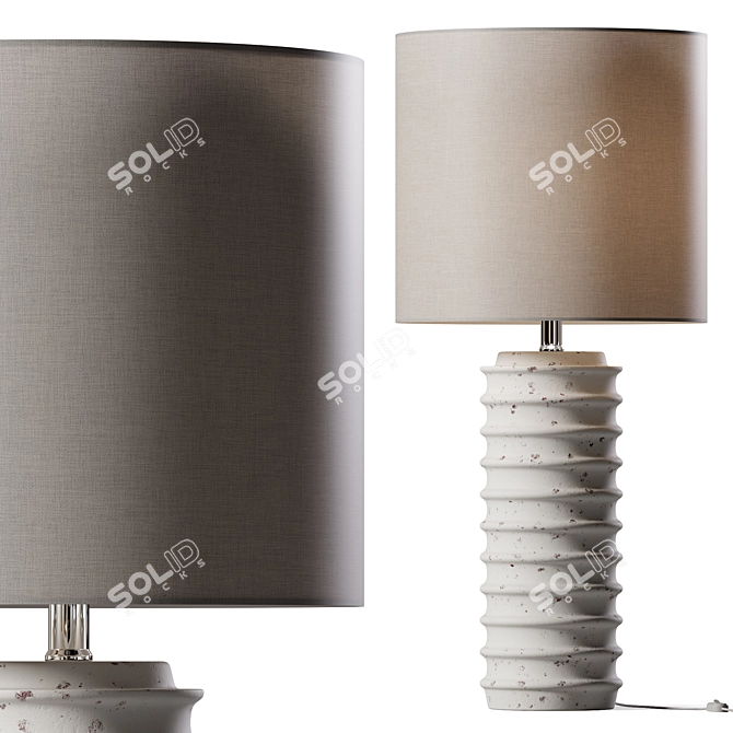 Pashmina Distressed Table Lamp 3D model image 1