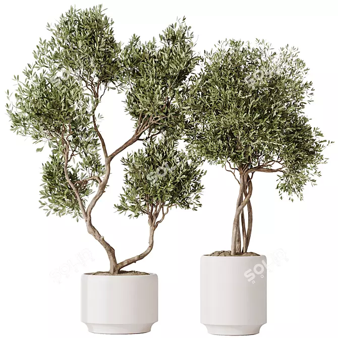 Majestic Artificial Olive Tree Set 3D model image 1