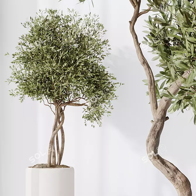 Majestic Artificial Olive Tree Set 3D model image 2