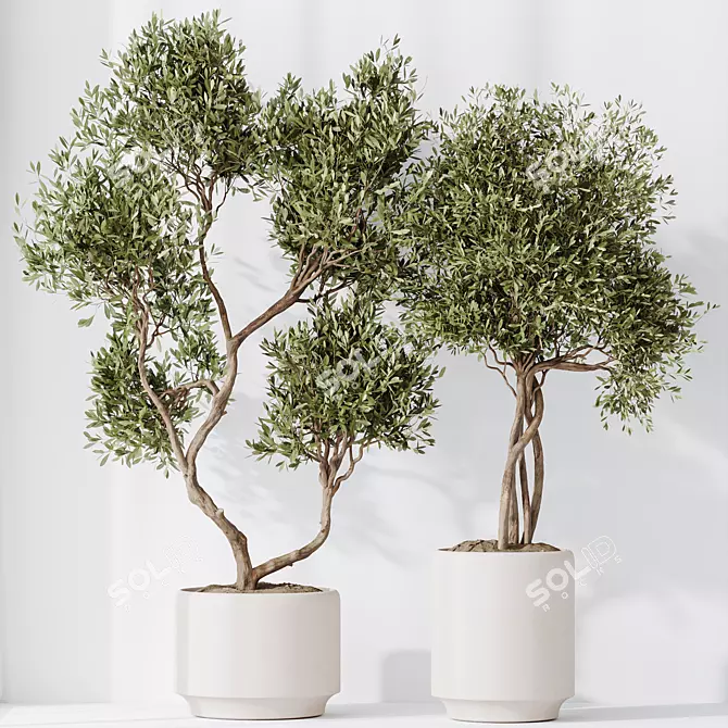 Majestic Artificial Olive Tree Set 3D model image 4