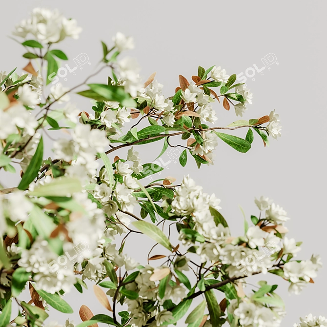 Elegant Decor Set 3D Models 3D model image 4