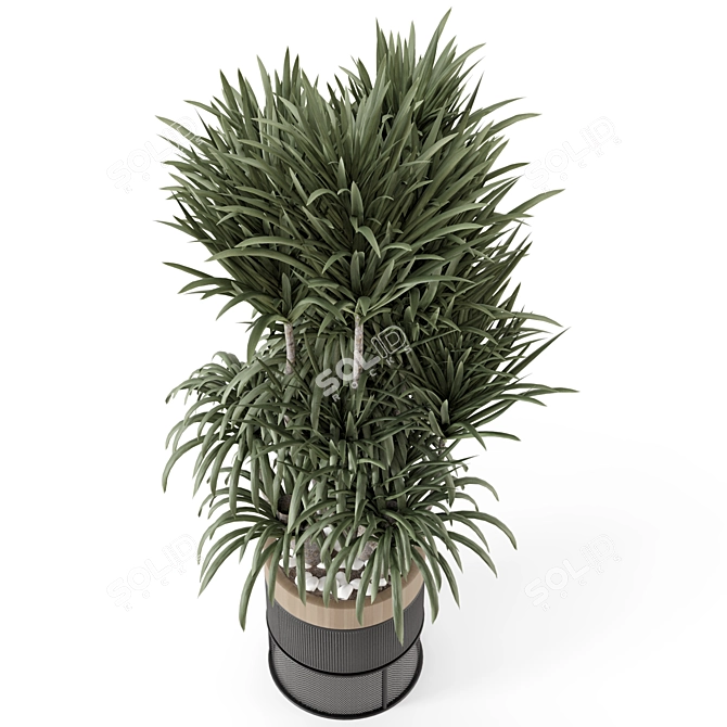 Modern Indoor Plants in Bau Pot 3D model image 2