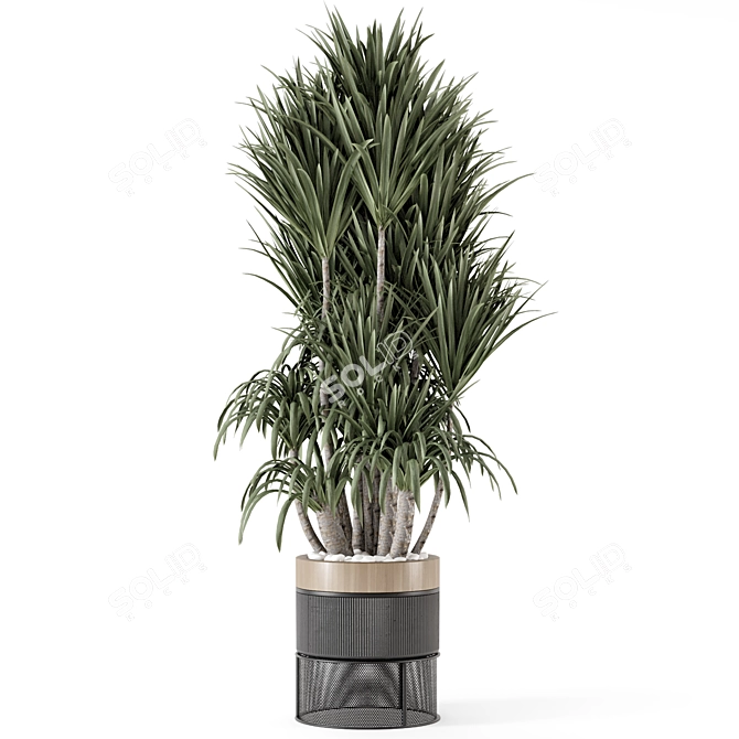 Modern Indoor Plants in Bau Pot 3D model image 3