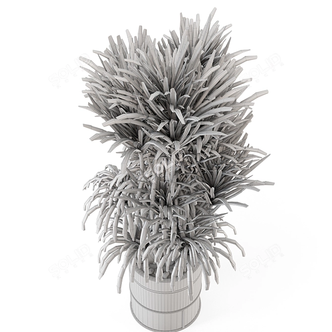 Modern Indoor Plants in Bau Pot 3D model image 4