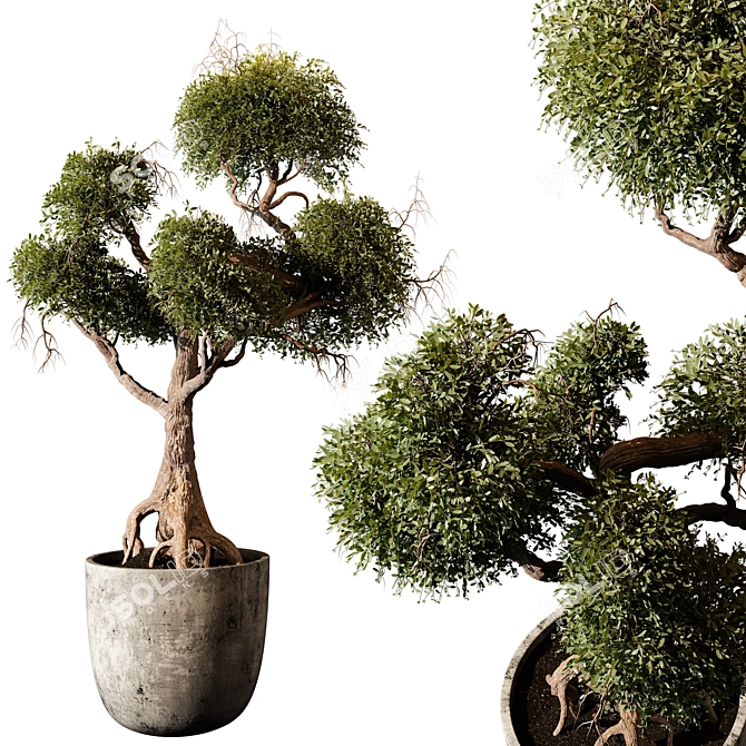 Vibrant Indoor Plant 474 Model 3D model image 4