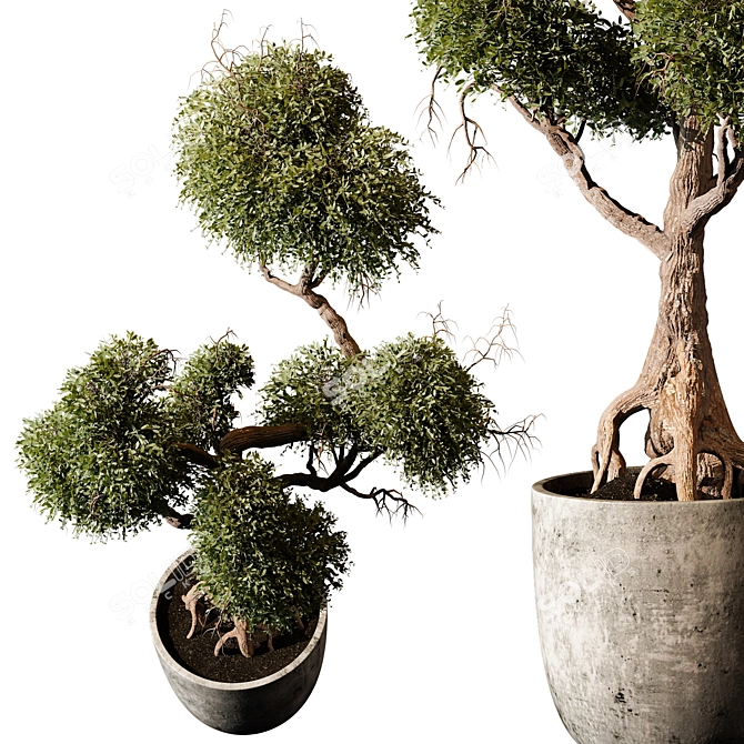 Vibrant Indoor Plant 474 Model 3D model image 1