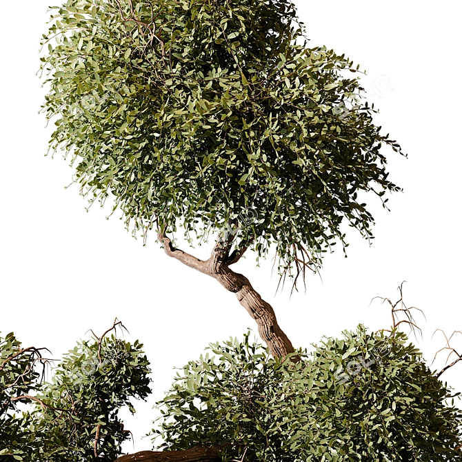 Vibrant Indoor Plant 474 Model 3D model image 2