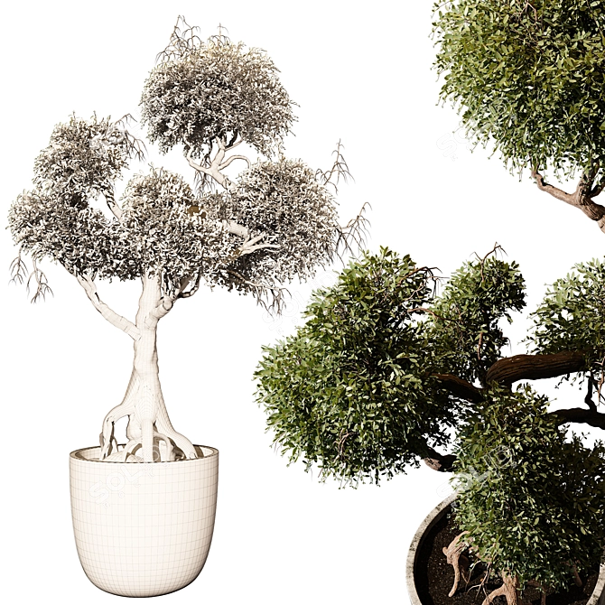 Vibrant Indoor Plant 474 Model 3D model image 3