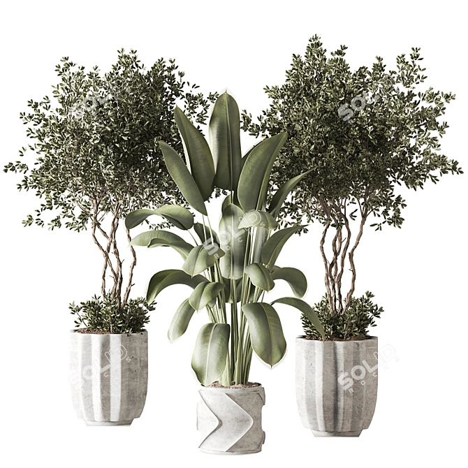 Modern Indoor Plant 3D Model 3D model image 1