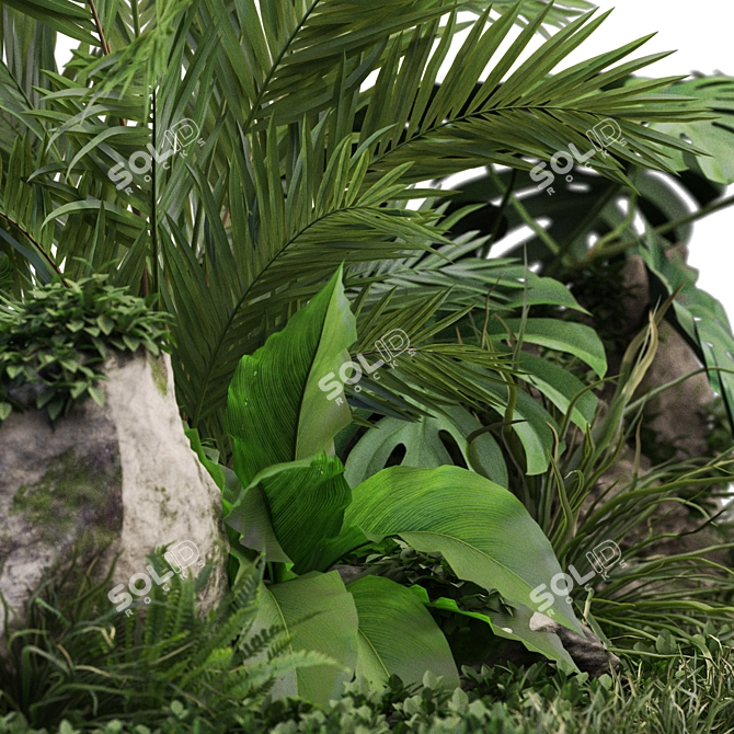  Verdant Foliage Collection 1026 3D model image 3
