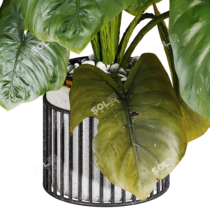  Indoor Elephant Ear Leaf Plant

---

Here is the translated and refined product description:

---

Max 2015 (Vray next 3.1 3D model image 5