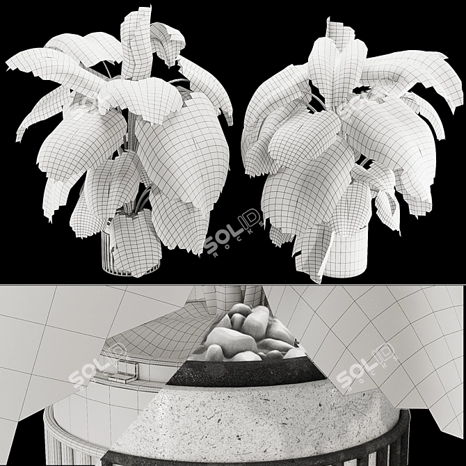  Indoor Elephant Ear Leaf Plant

---

Here is the translated and refined product description:

---

Max 2015 (Vray next 3.1 3D model image 7