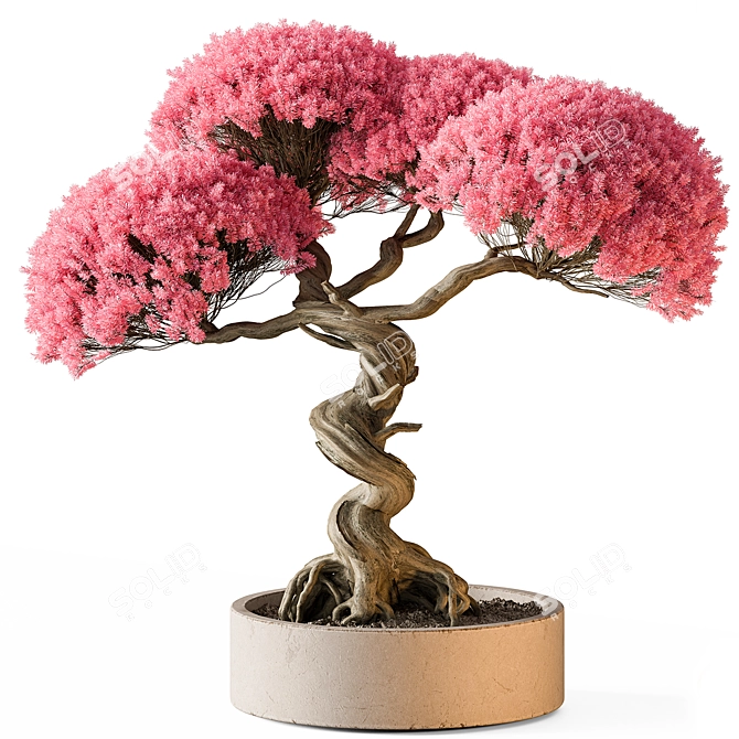 Pink Bonsai Indoor Plant 3D model image 1