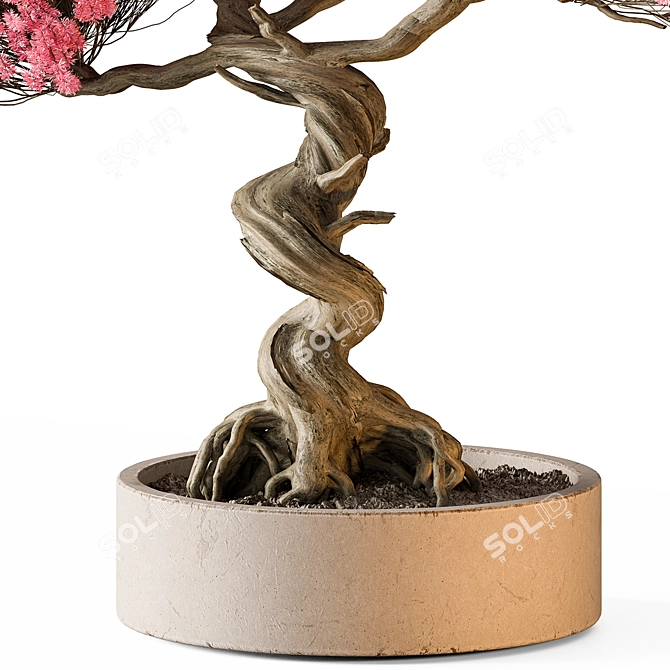 Pink Bonsai Indoor Plant 3D model image 3