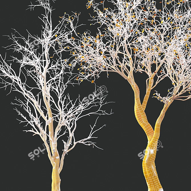 Life-like 3D Dry Trees Pack 3D model image 6