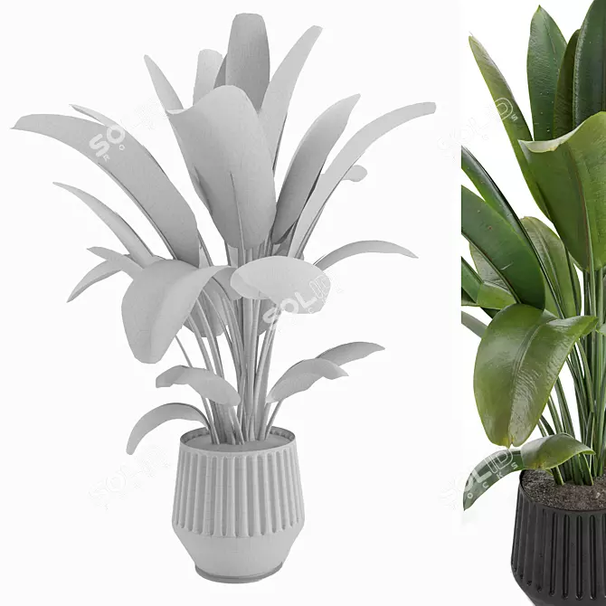 6-Pack Indoor Plant Set 3D model image 3