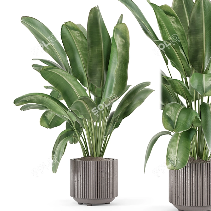 Handmade Stone Pots with Indoor Plants 3D model image 2