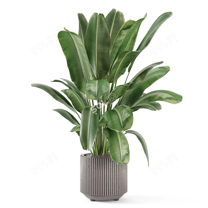 Handmade Stone Pots with Indoor Plants 3D model image 3