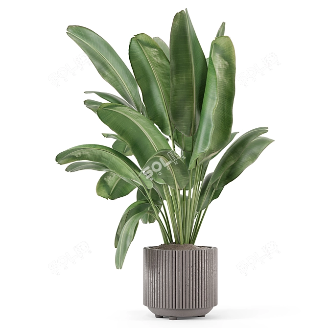 Handmade Stone Pots with Indoor Plants 3D model image 4