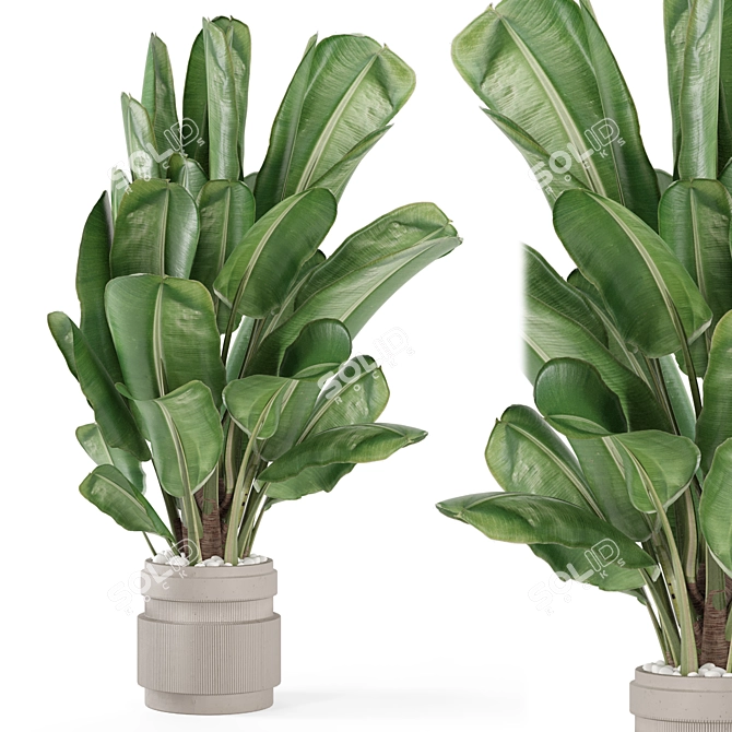 Modern Indoor Plants Set 1958 3D model image 1